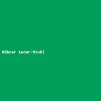 Kühner Leder-Stuhl