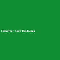 Lebhafter Samt-Handschuh